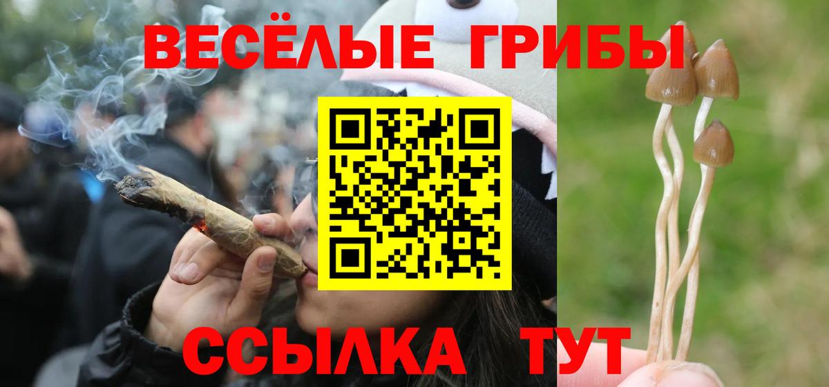 Арзамас  что такое наркотик  Вход с VPN  Псилоцибиновые грибы ЛСД 